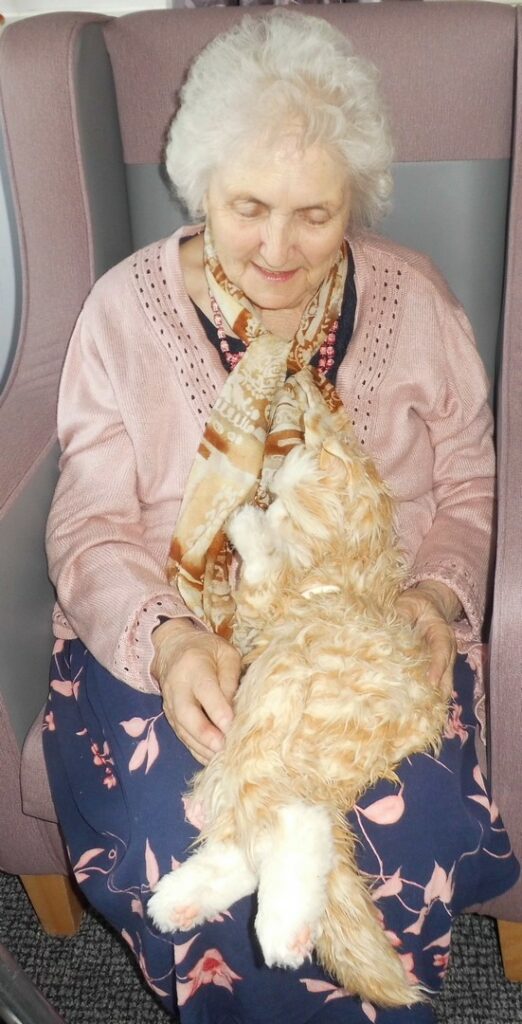 Nightingale Care Home
