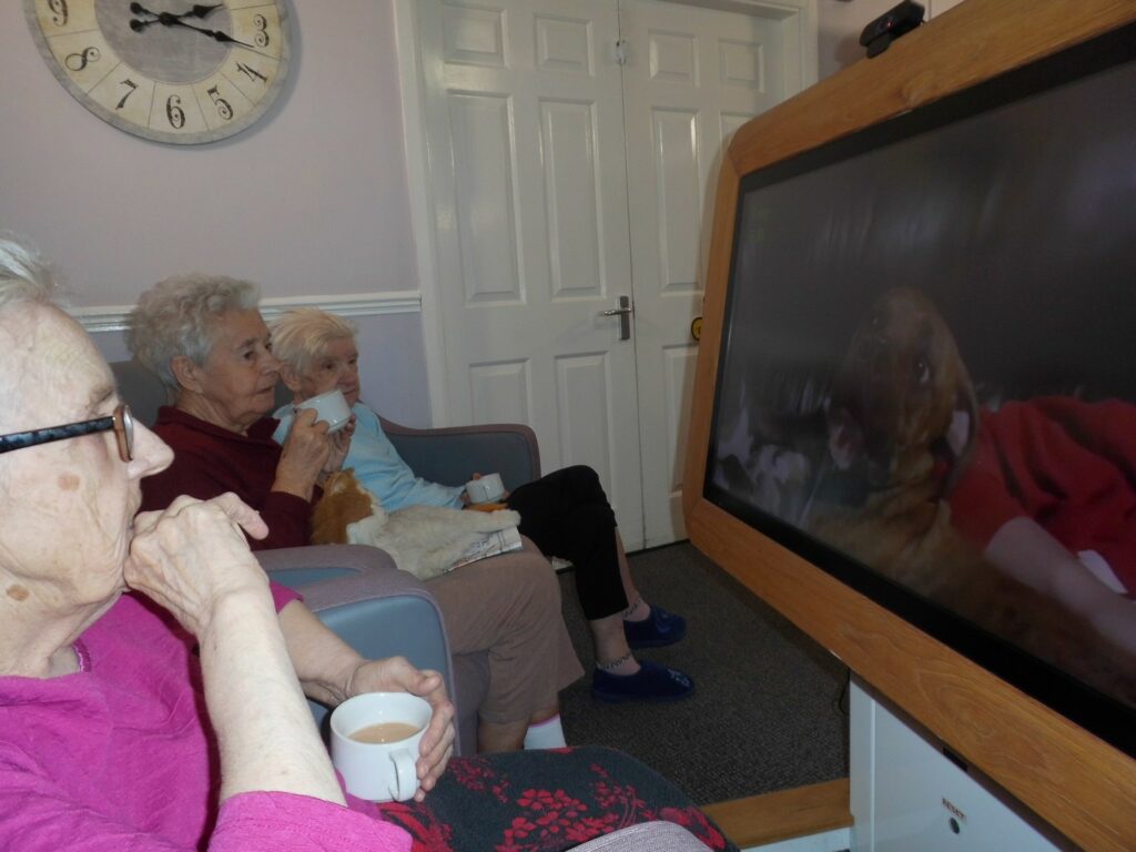 Nightingale Care Home
