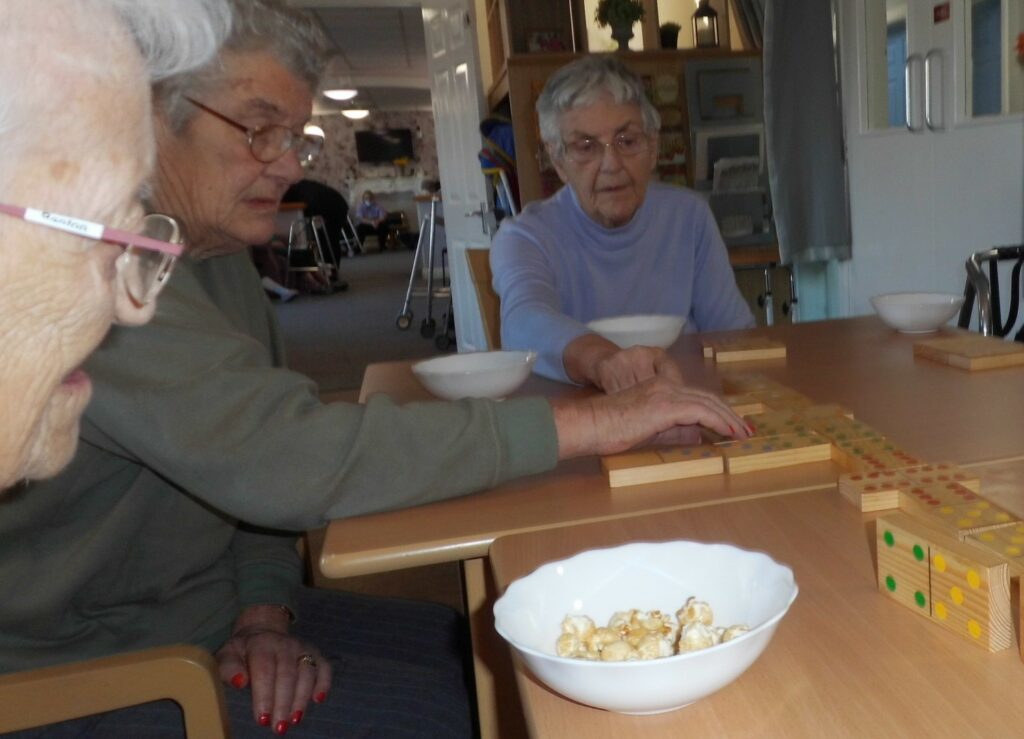Nightingale Care Home