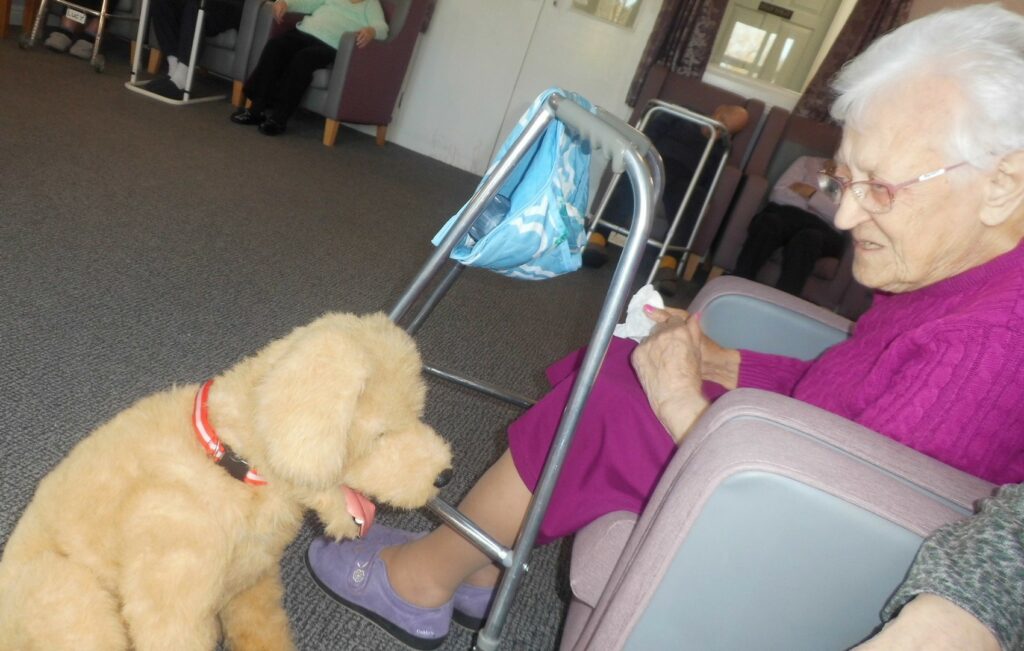 Nightingale Care Home