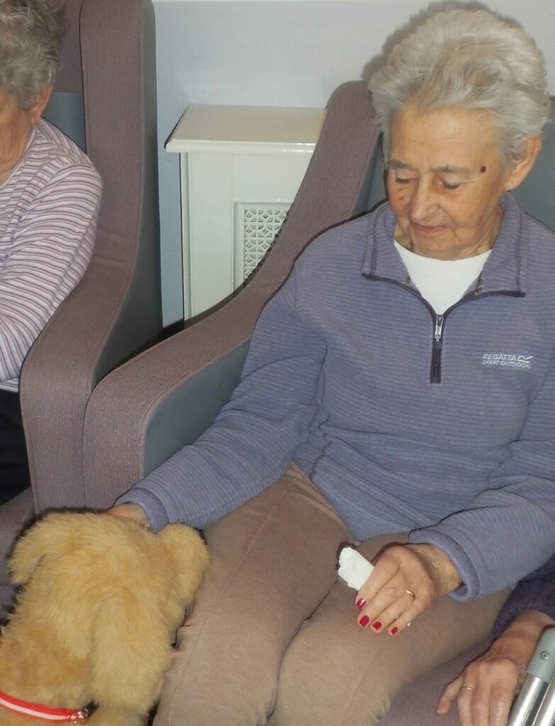 Nightingale Care Home