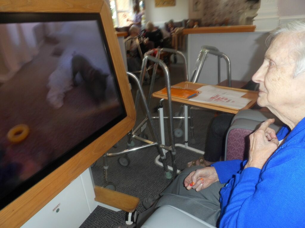 Nightingale Care Home