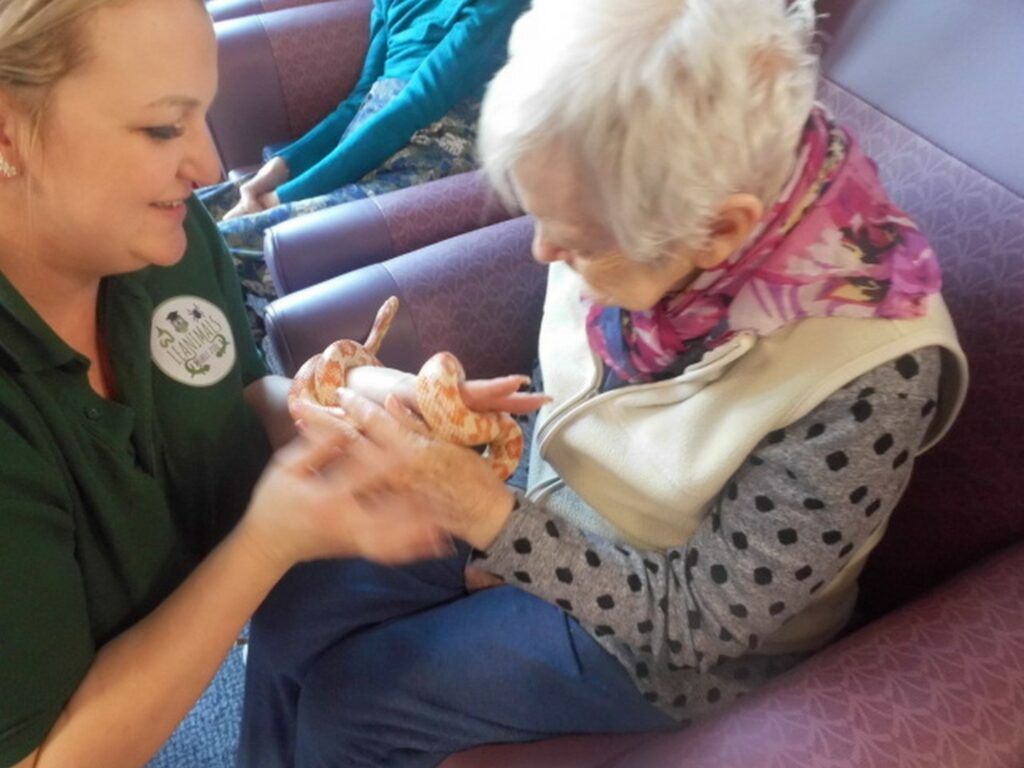 Nightingale Care Home