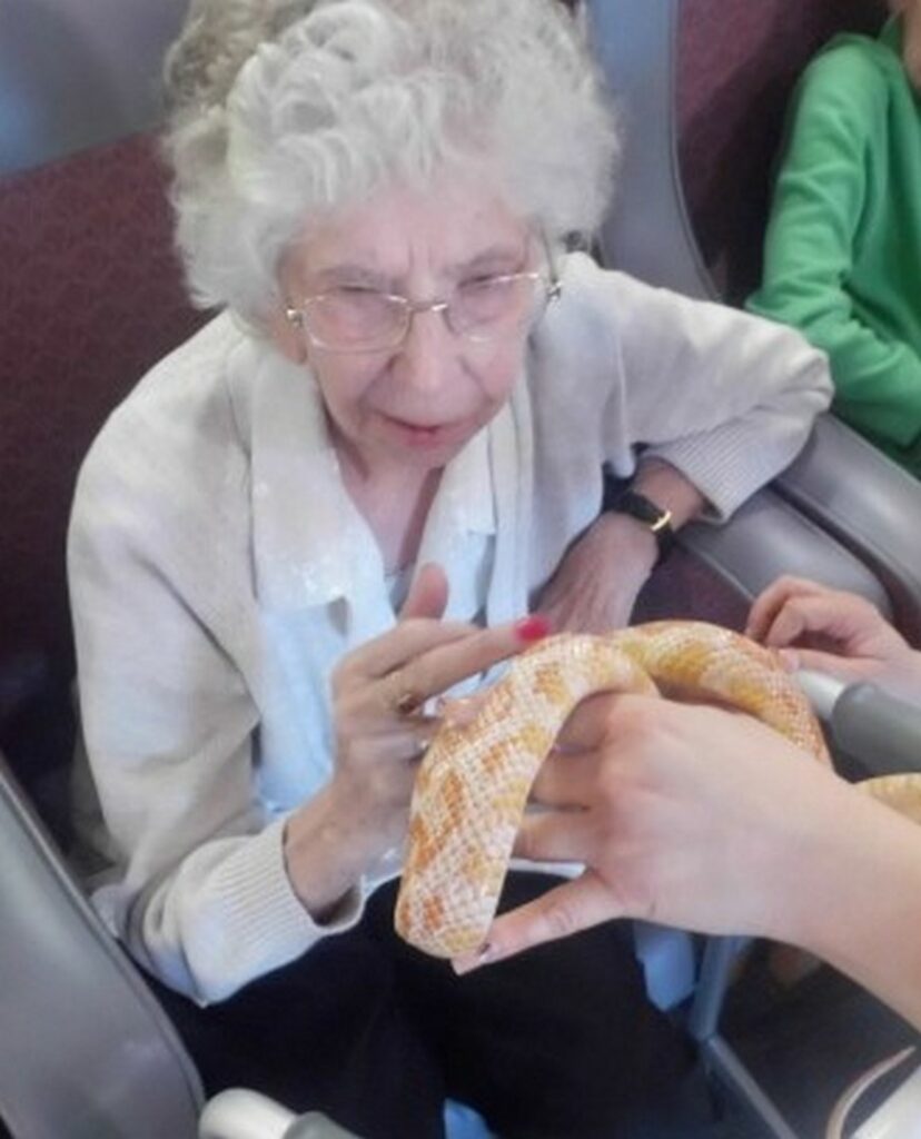 Nightingale Care Home