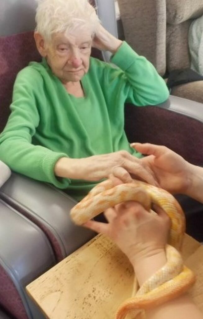 Nightingale Care Home