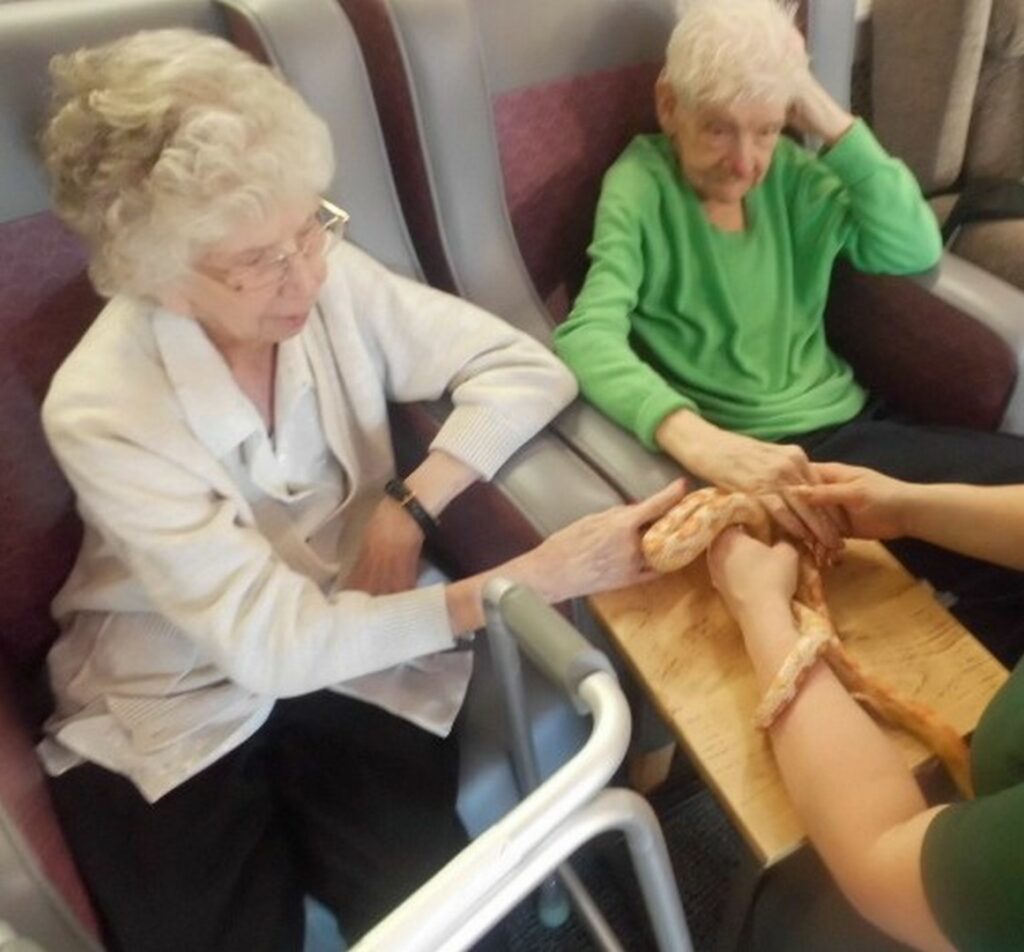 Nightingale Care Home