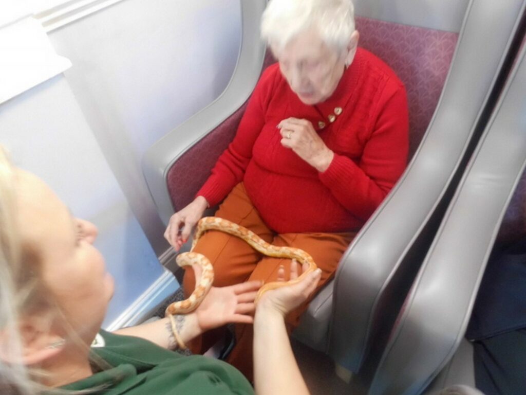 Nightingale Care Home