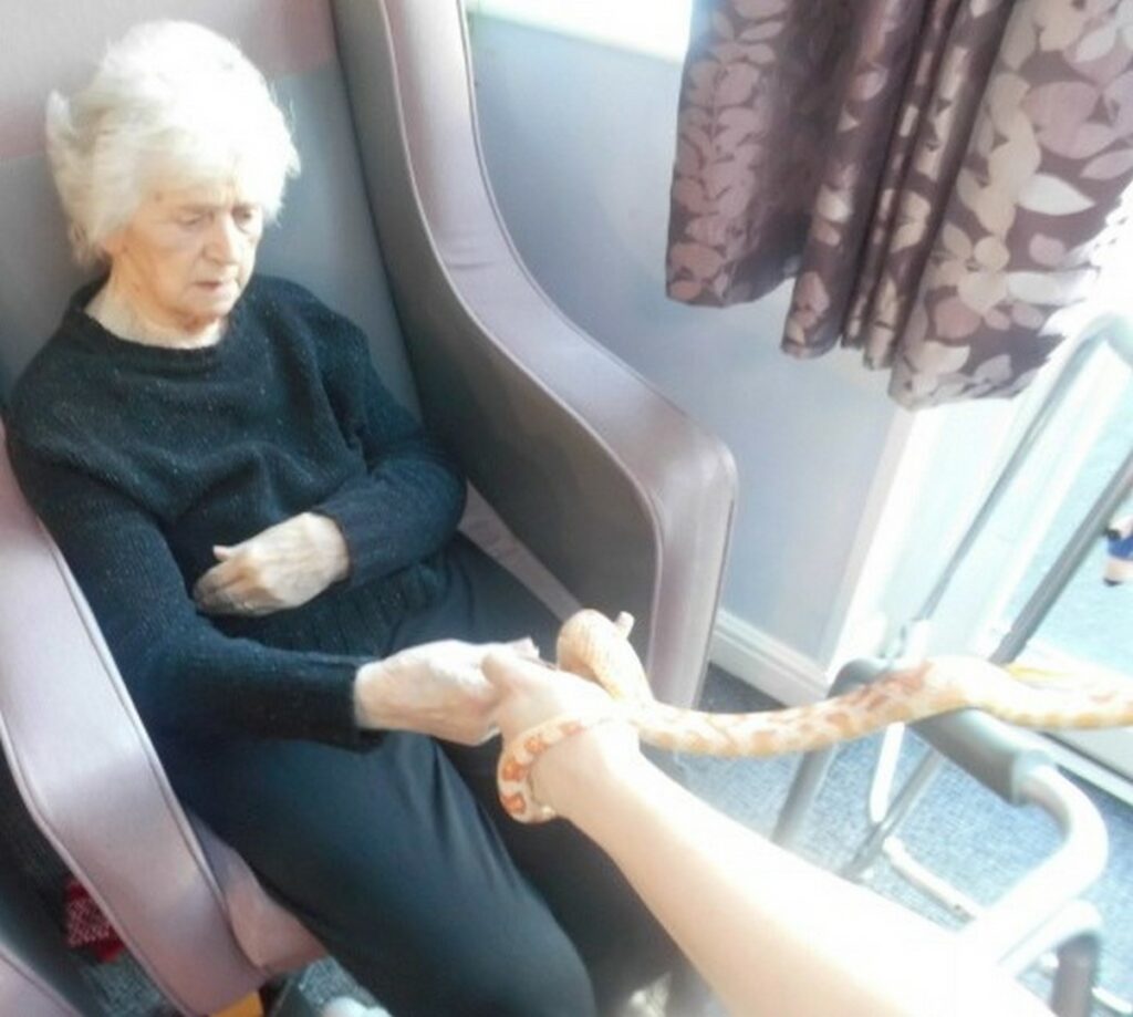 Nightingale Care Home