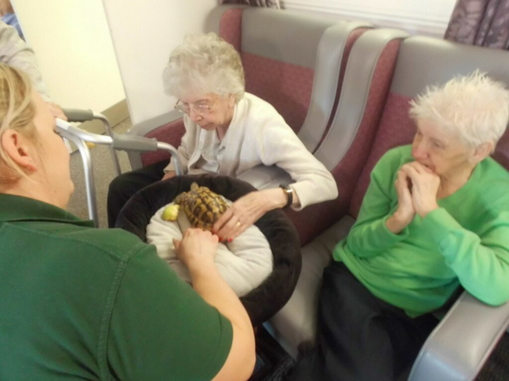 Nightingale Care Home