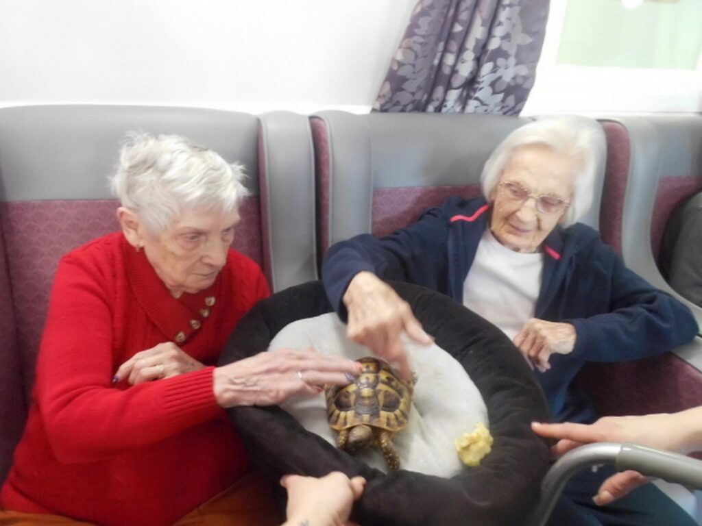 Nightingale Care Home