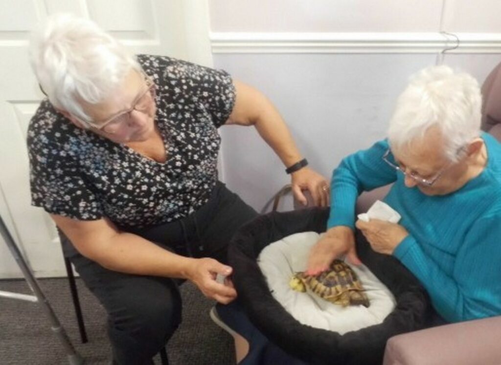 Nightingale Care Home