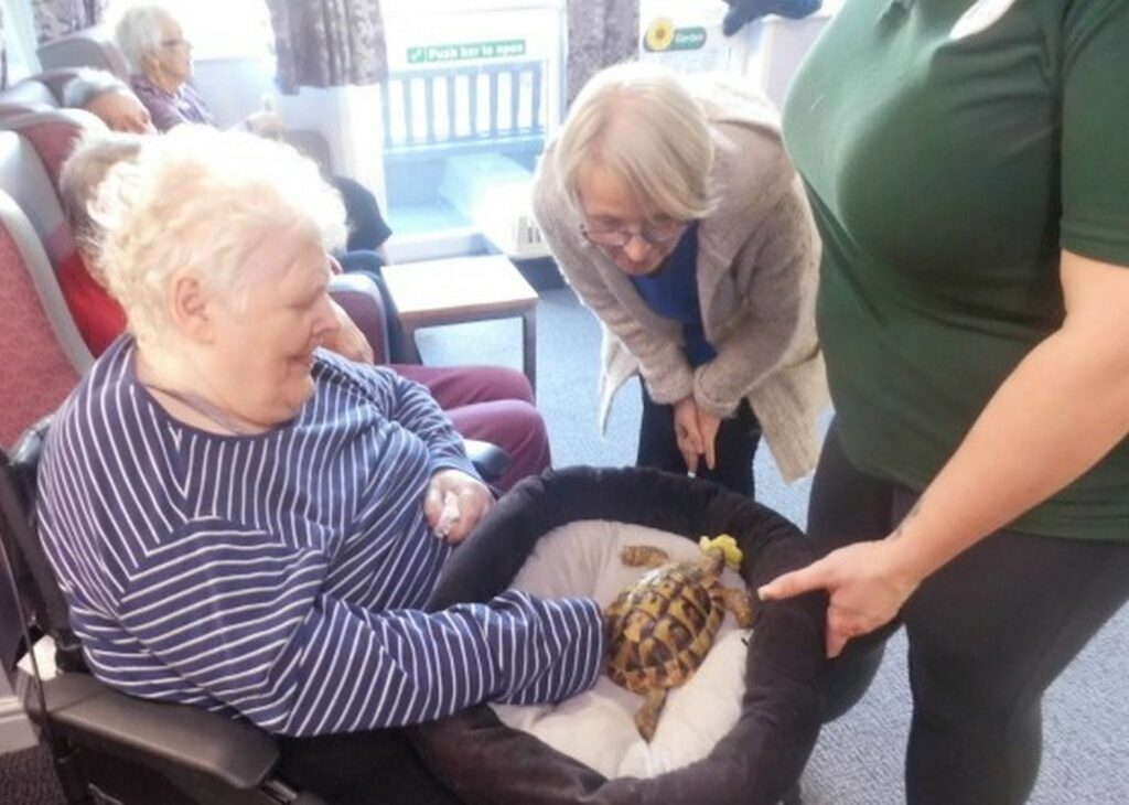 Nightingale Care Home
