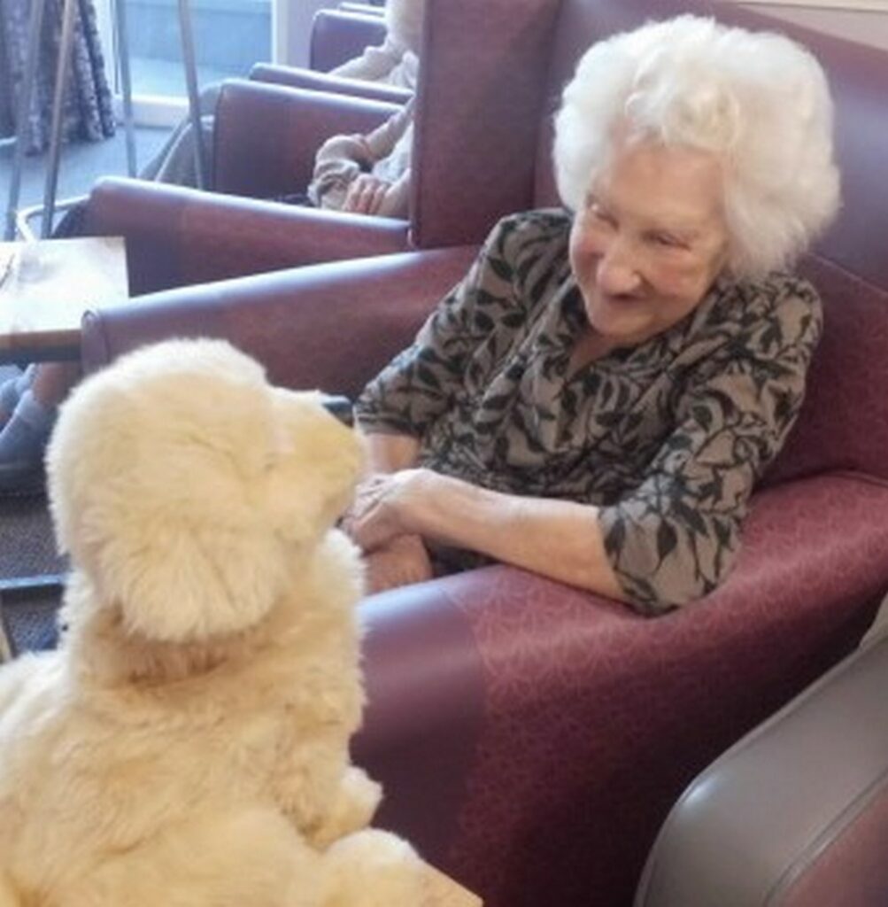 Nightingale Care Home