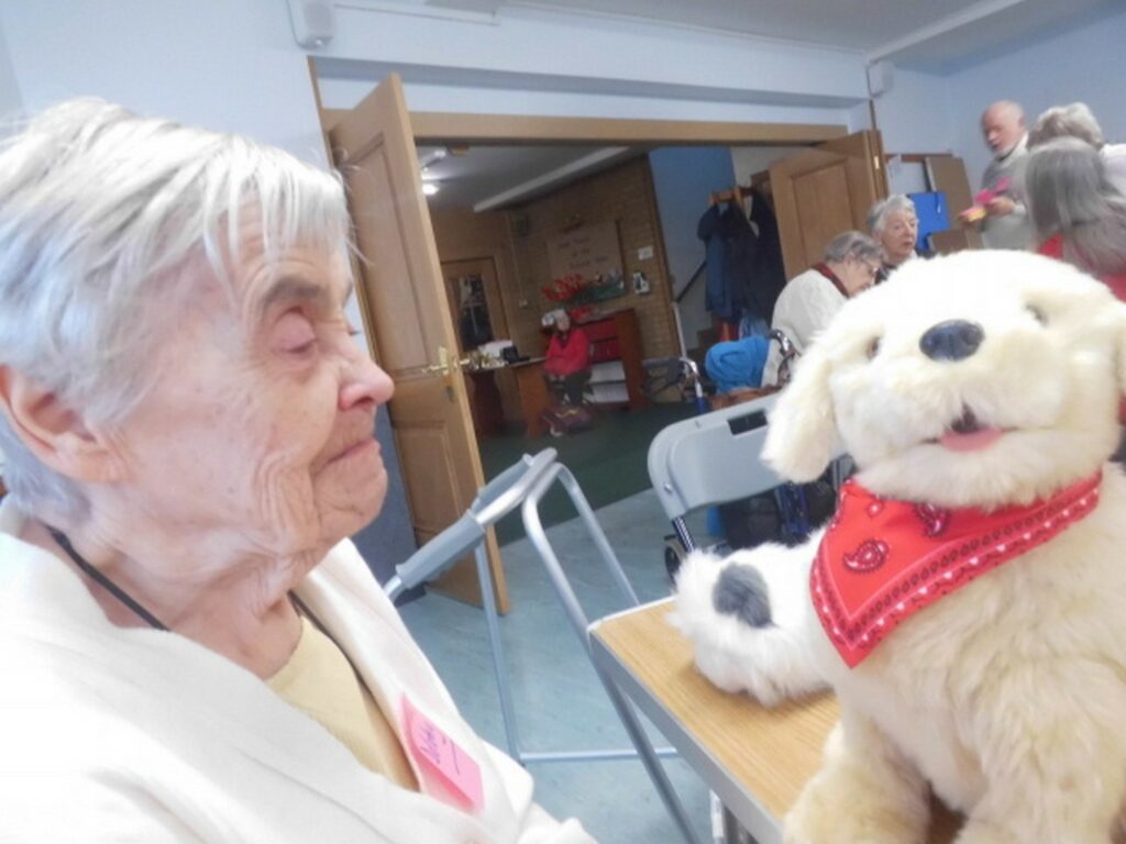 Nightingale Care Home