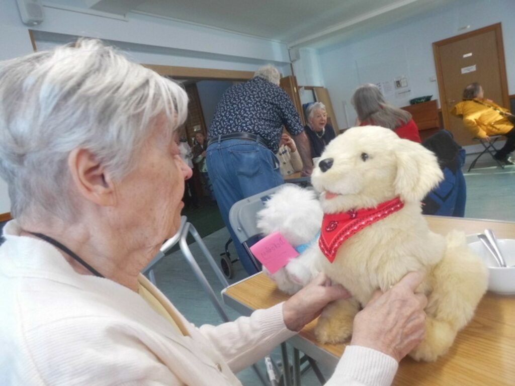 Nightingale Care Home