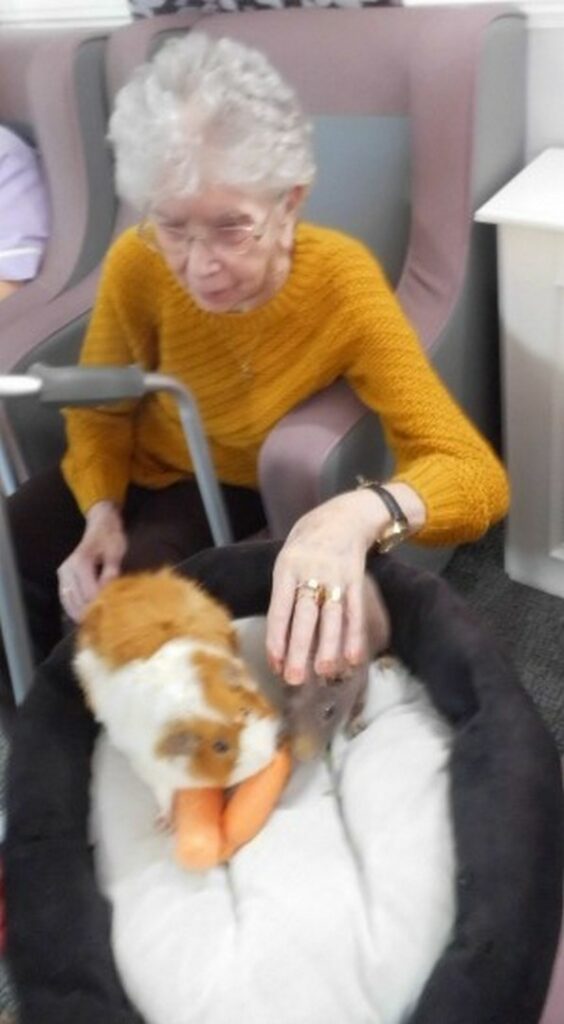 Nightingale Care Home