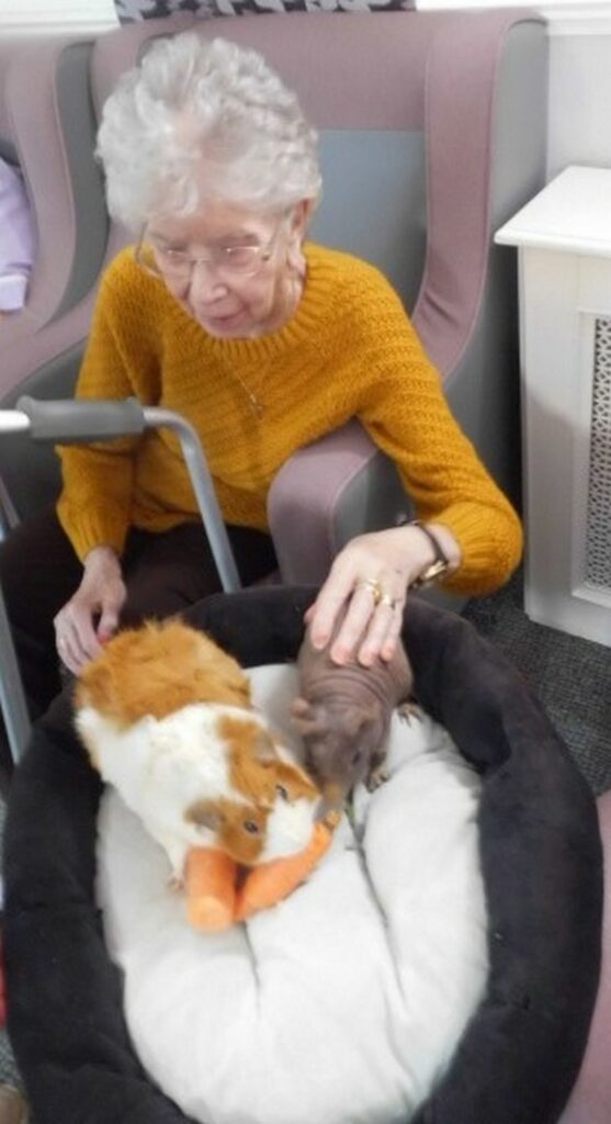 Nightingale Care Home