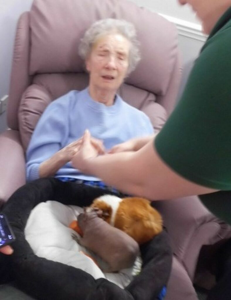 Nightingale Care Home