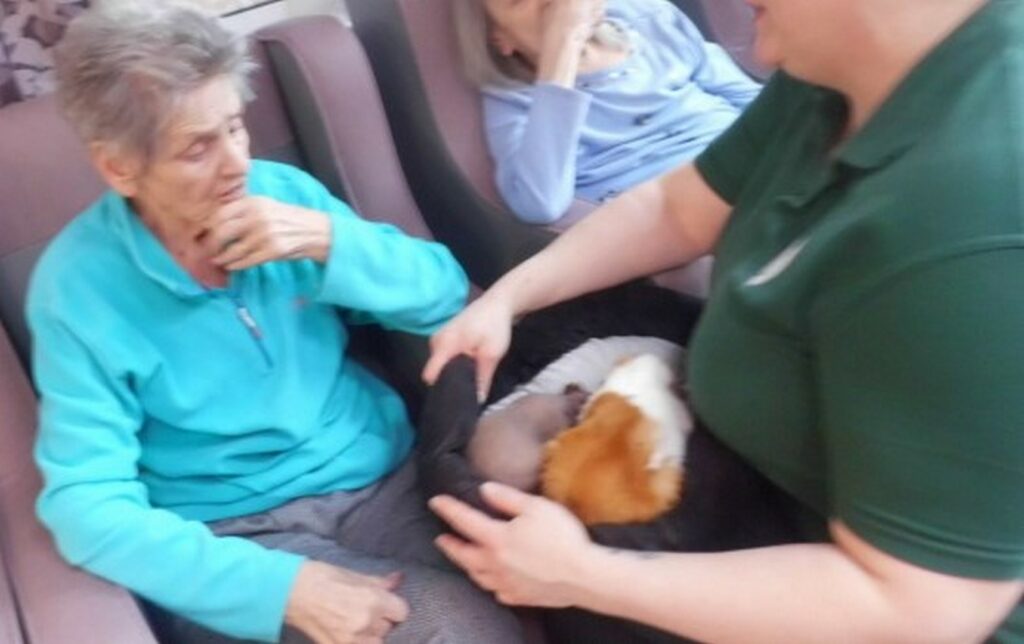 Nightingale Care Home