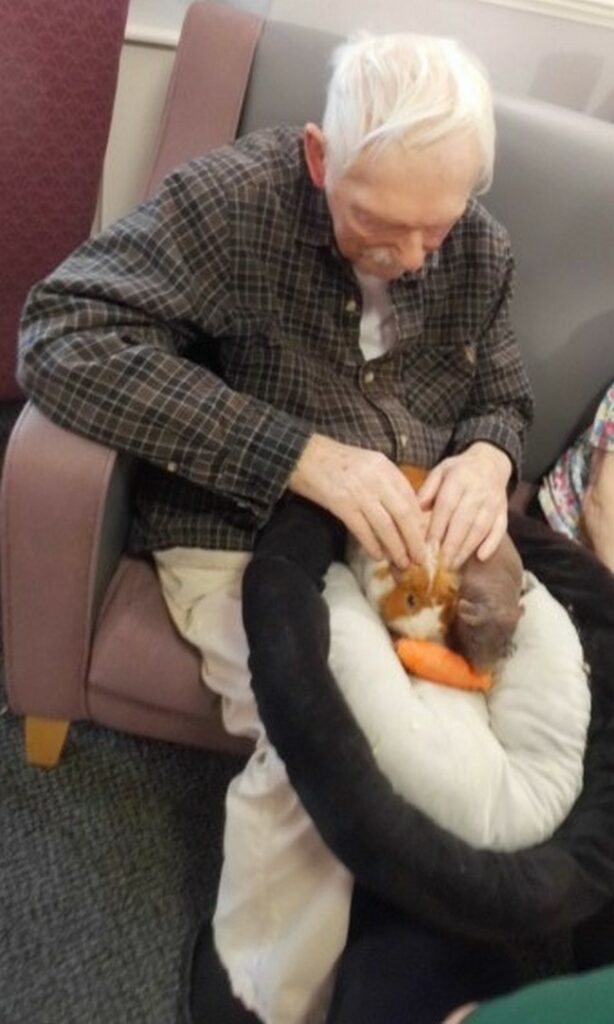 Nightingale Care Home