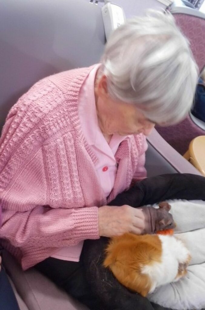 Nightingale Care Home