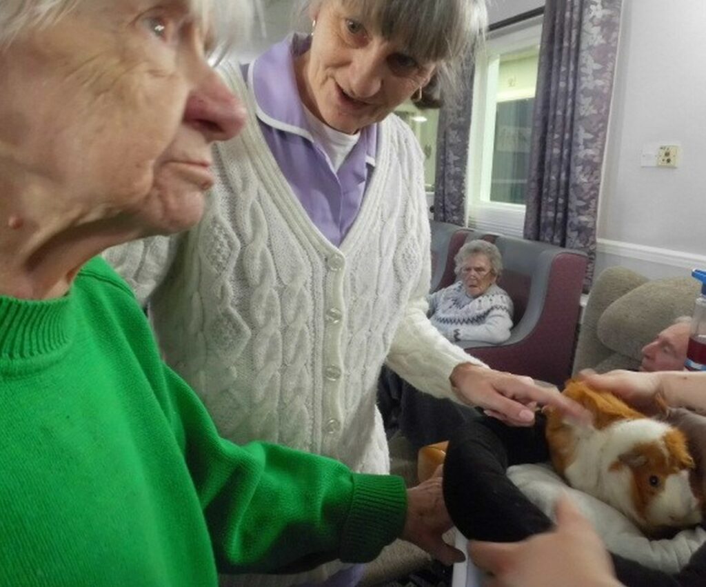 Nightingale Care Home