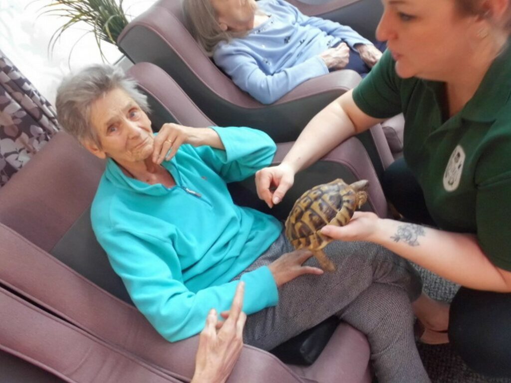 Nightingale Care Home