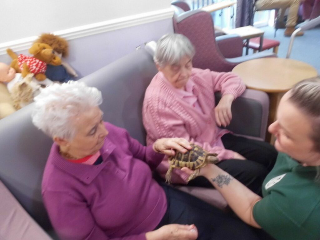 Nightingale Care Home