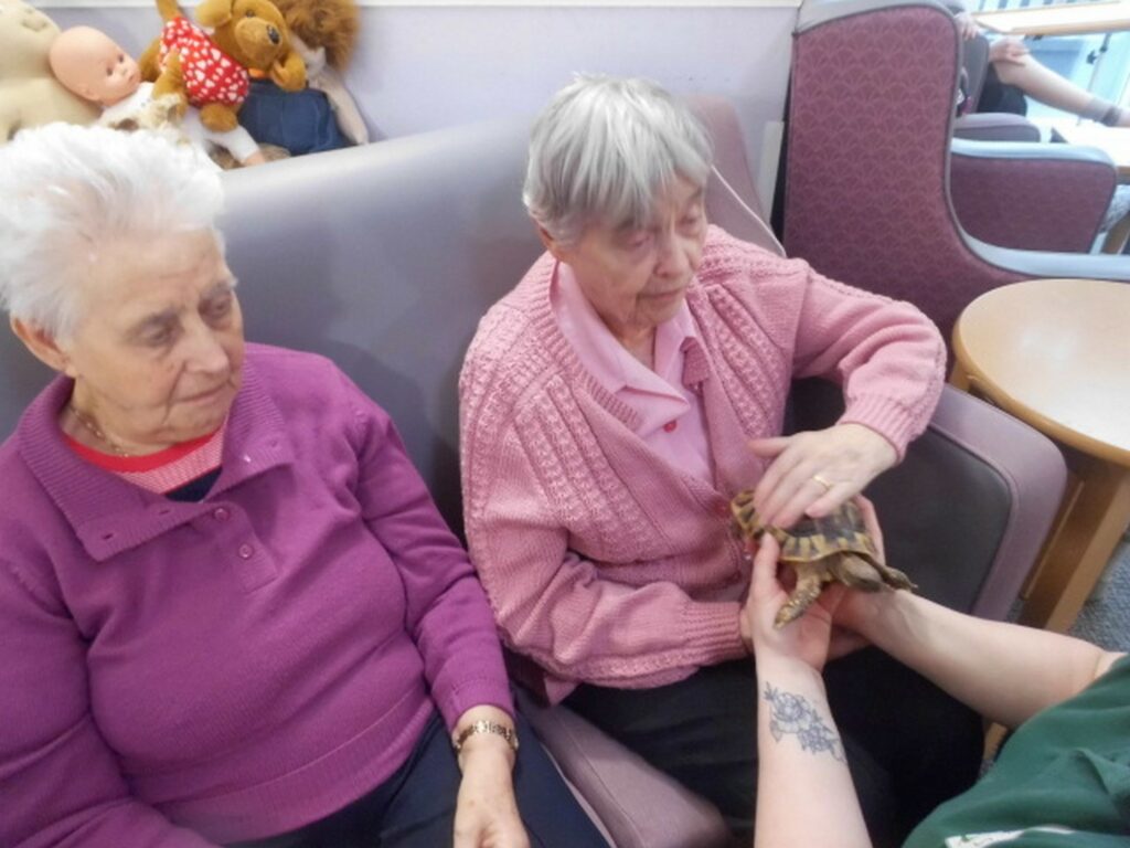 Nightingale Care Home