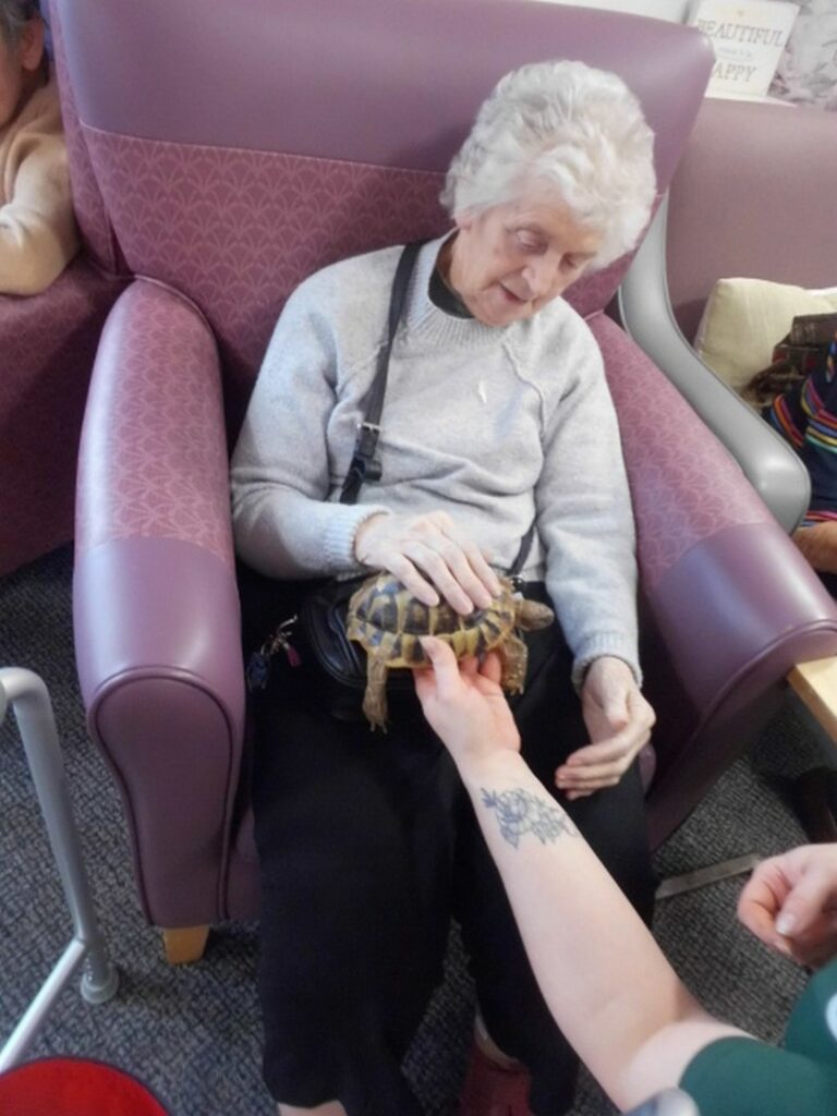 Nightingale Care Home
