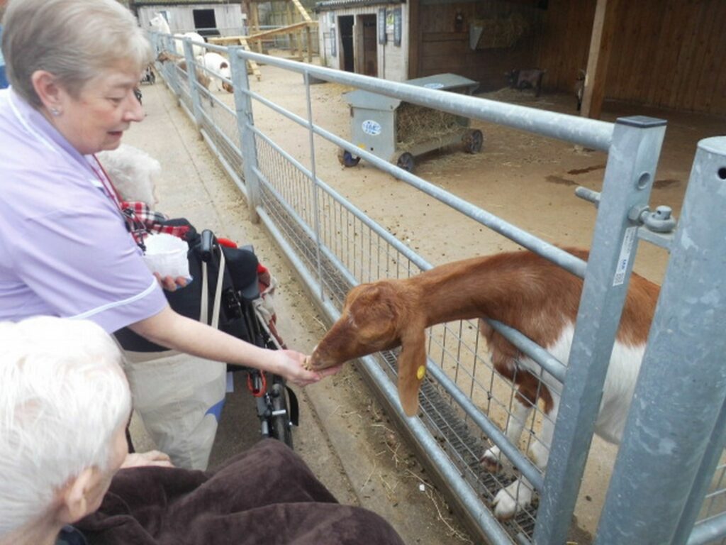 Nightingale Care Home