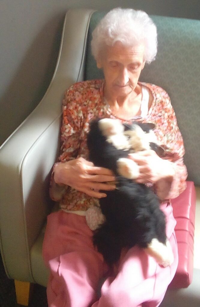 Nightingale Care Home