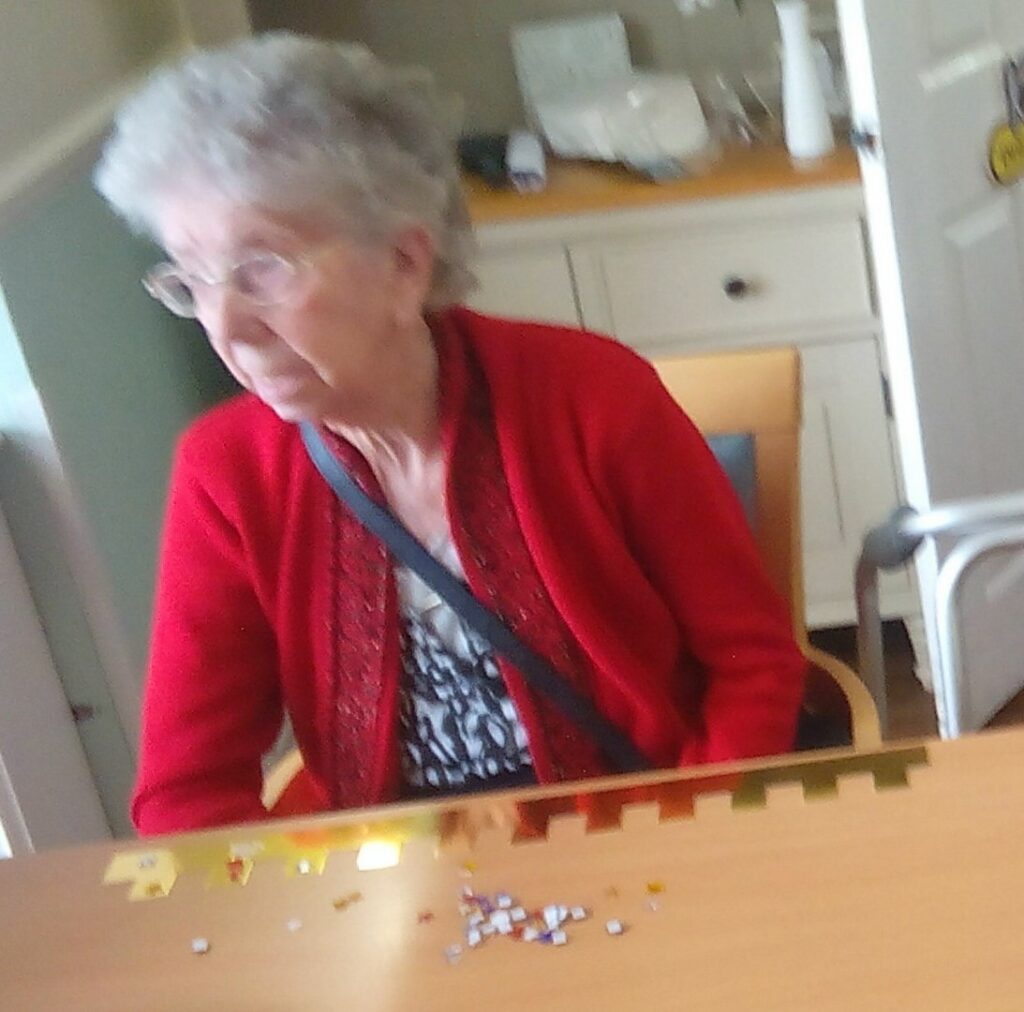 Nightingale Care Home