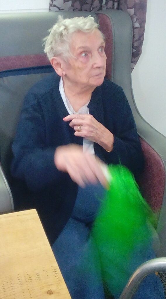 Nightingale Care Home