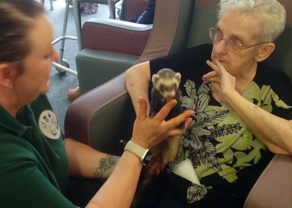 Nightingale Care Home