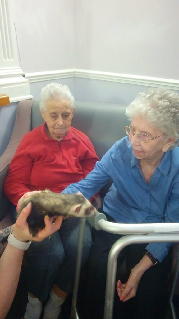 Nightingale Care Home