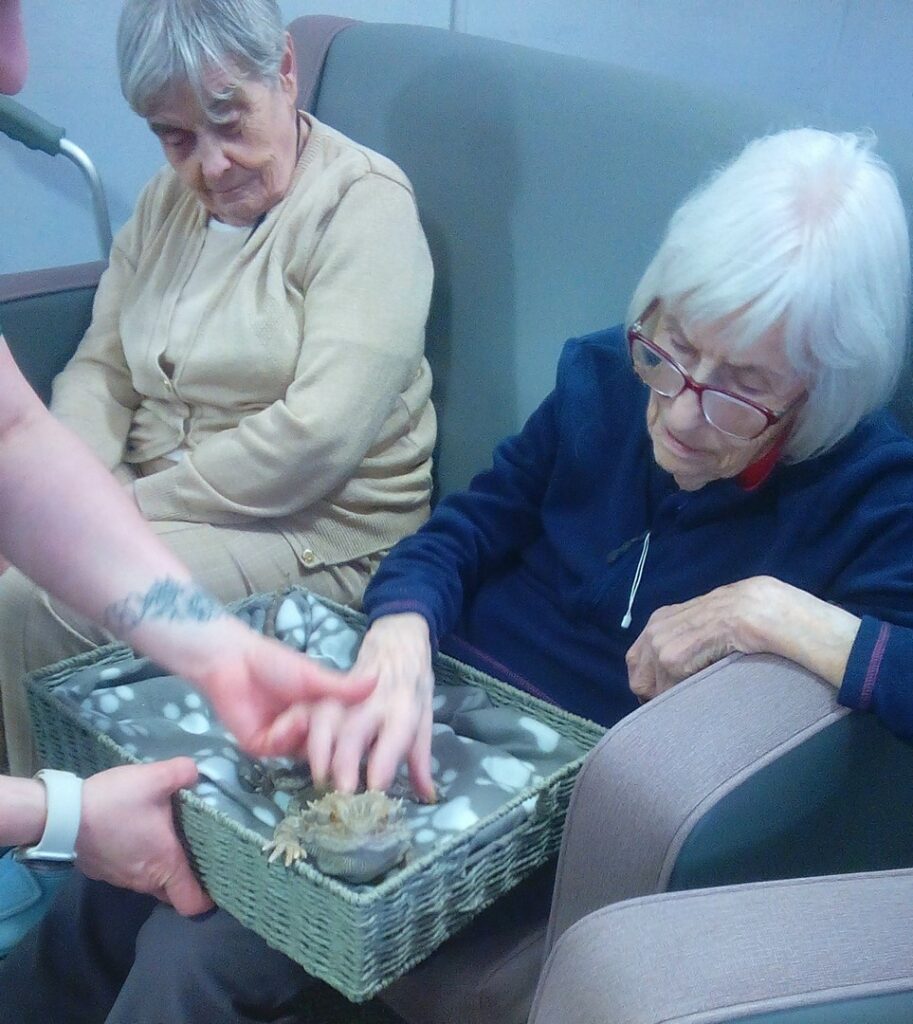 Nightingale Care Home