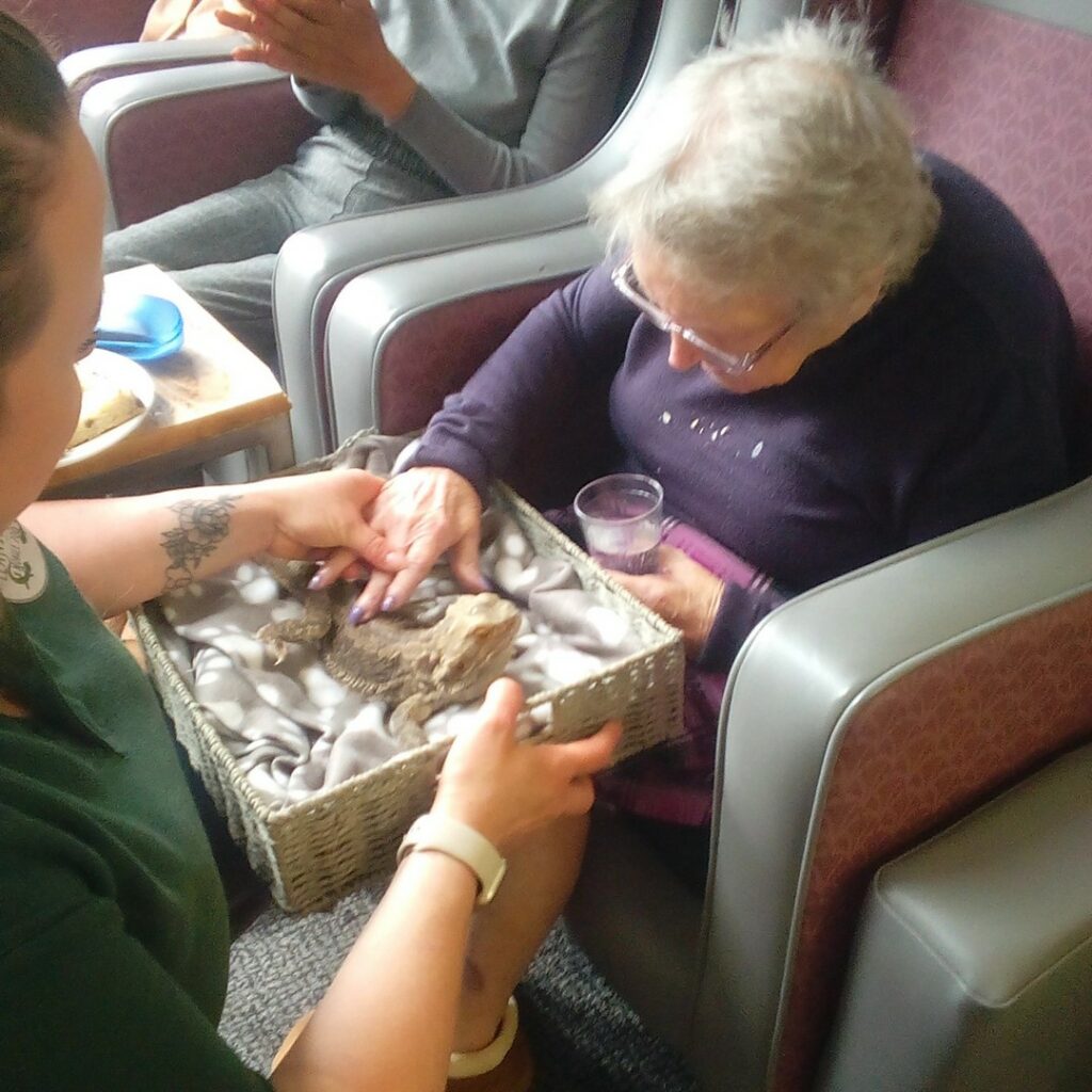 Nightingale Care Home