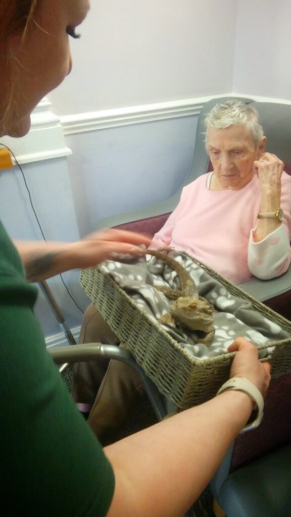 Nightingale Care Home