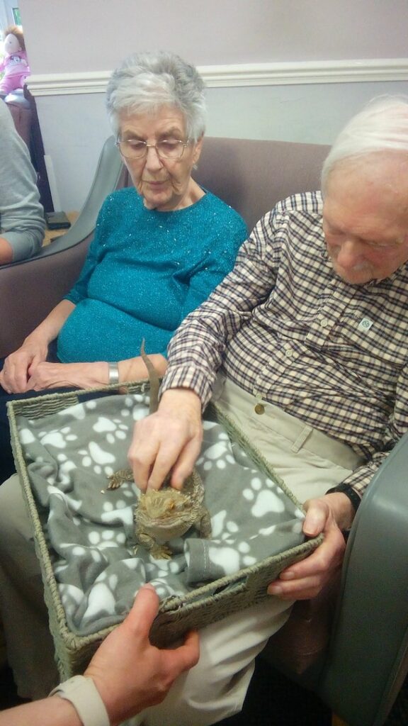 Nightingale Care Home