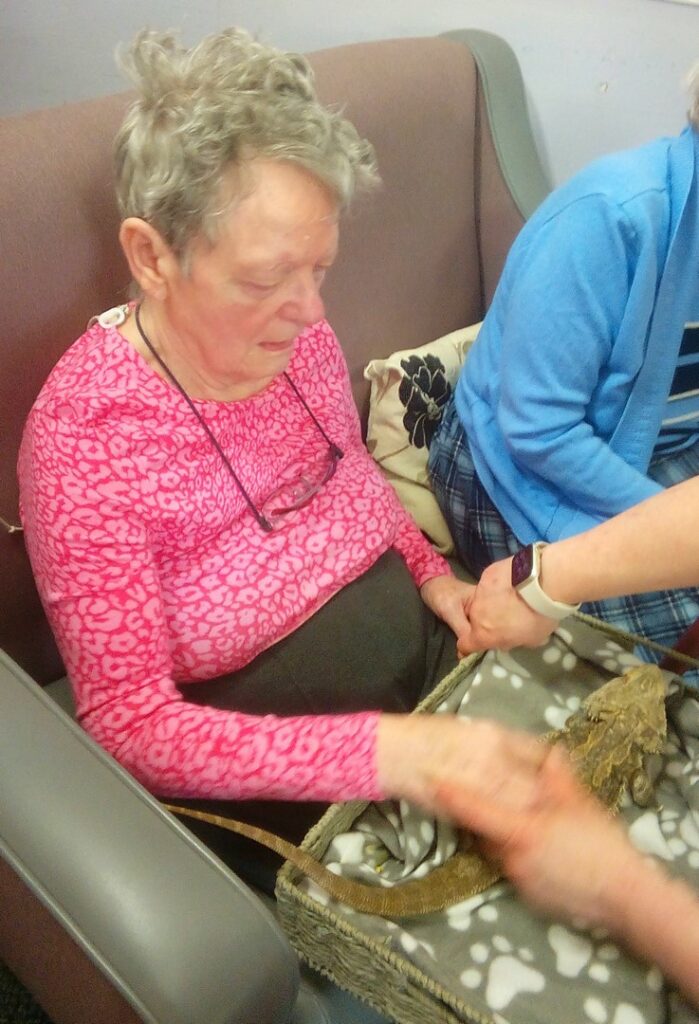 Nightingale Care Home