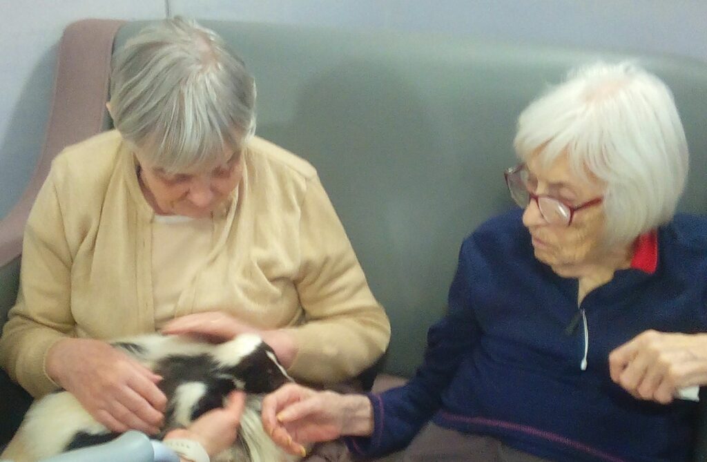 Nightingale Care Home