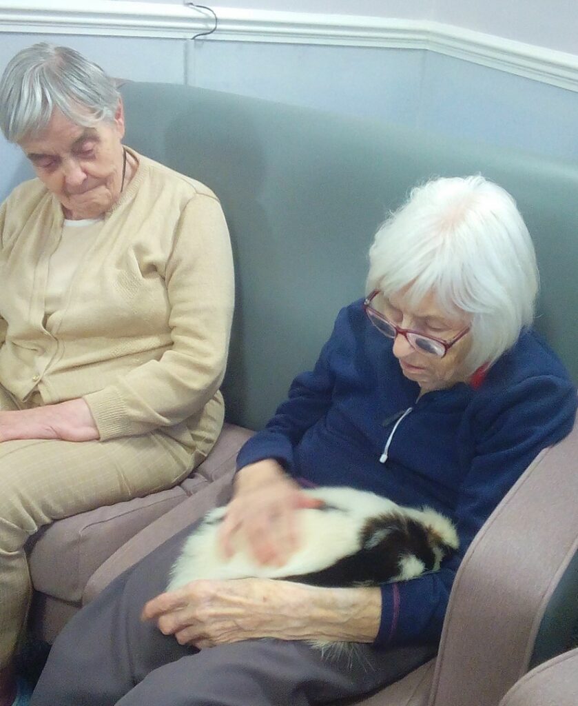Nightingale Care Home