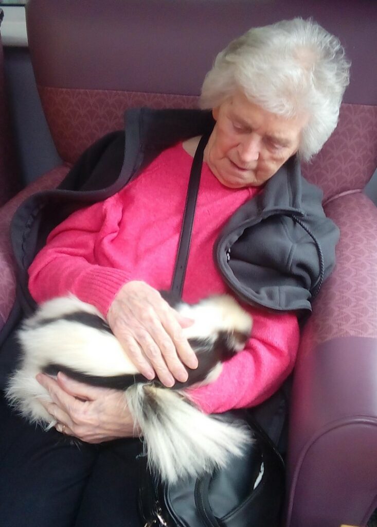 Nightingale Care Home