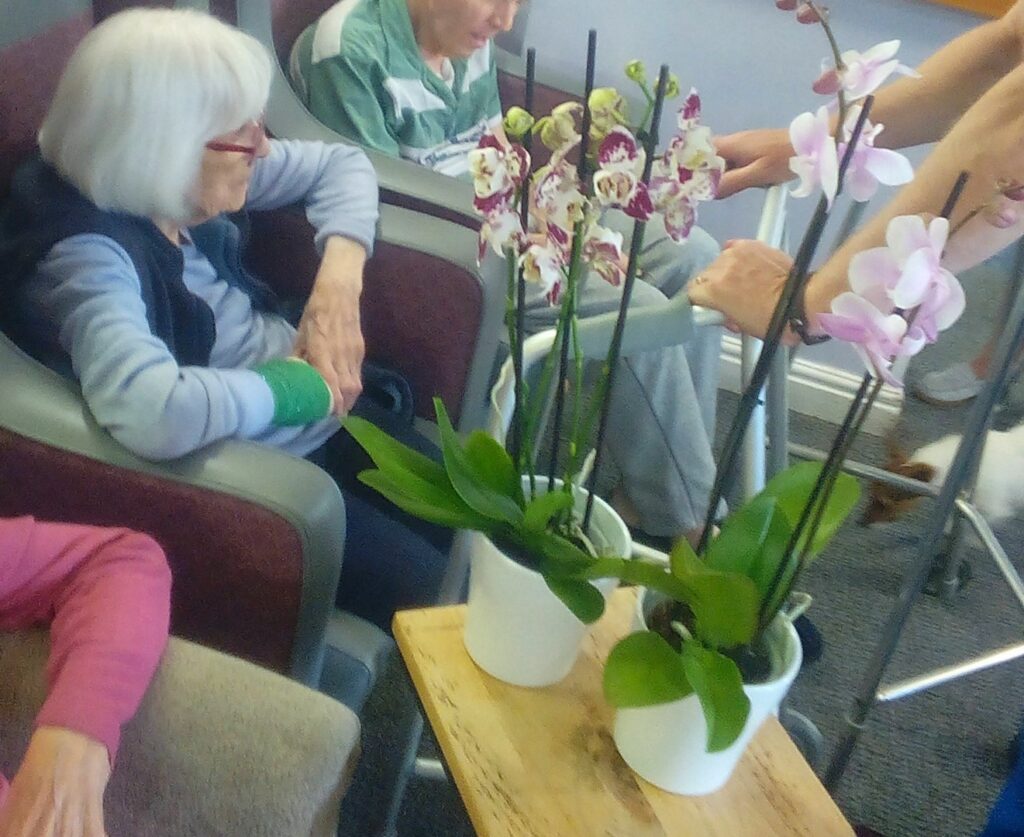 Nightingale Care Home