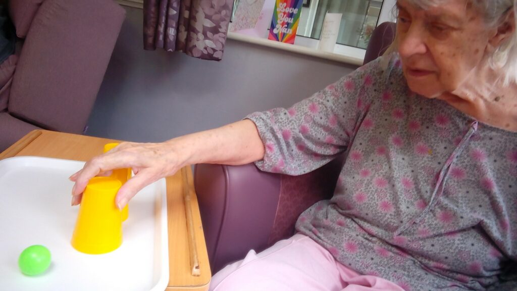 Nightingale Care Home