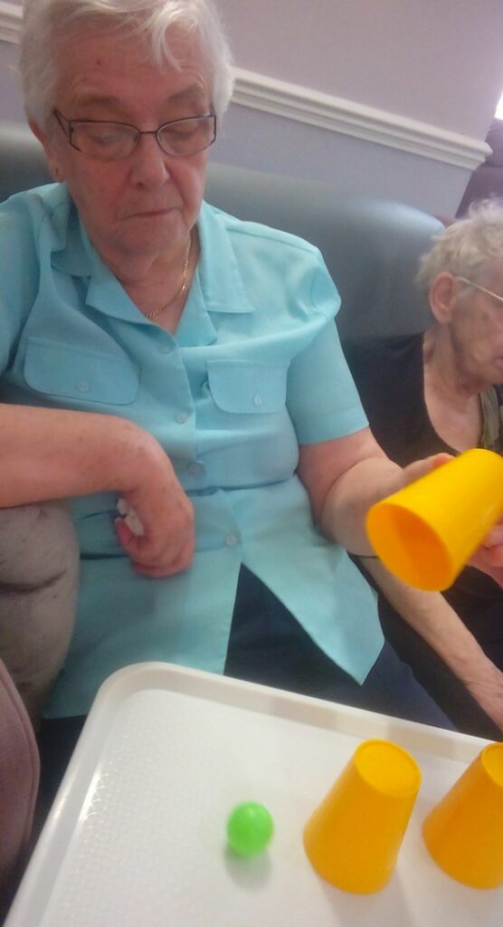 Nightingale Care Home