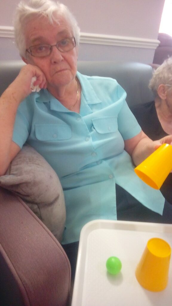 Nightingale Care Home