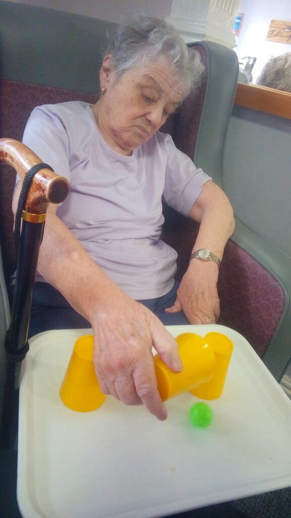 Nightingale Care Home