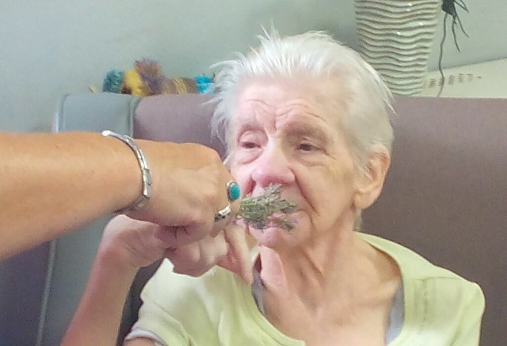 Nightingale Care Home